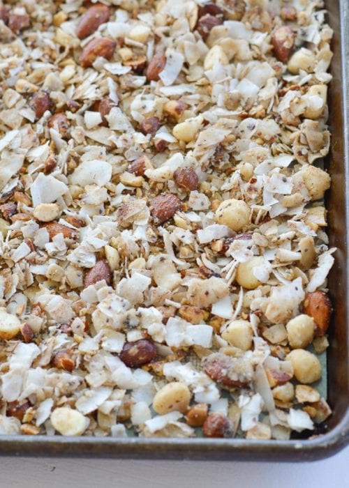 Toasted Coconut Granola Low Carb Keto Maebells