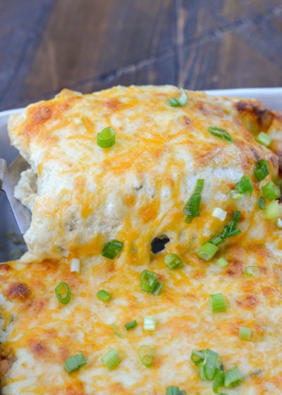 Sour Cream Chicken Enchiladas (no roux!) - Maebells