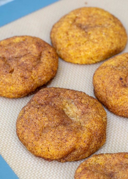 These soft, chewy Pumpkin Snickerdoodles are loaded with pumpkin and cinnamon flavor! Each low carb cookie is grain free, sugar free and has just 2 net carbs each!