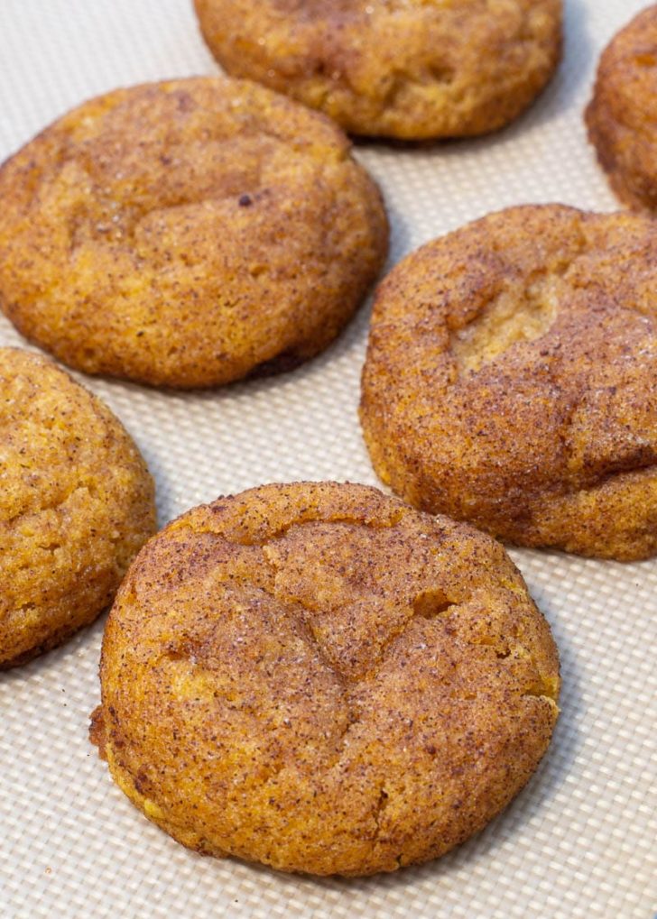 These soft, chewy Pumpkin Snickerdoodles are loaded with pumpkin and cinnamon flavor! Each low carb cookie is grain free, sugar free and has just 2 net carbs each!