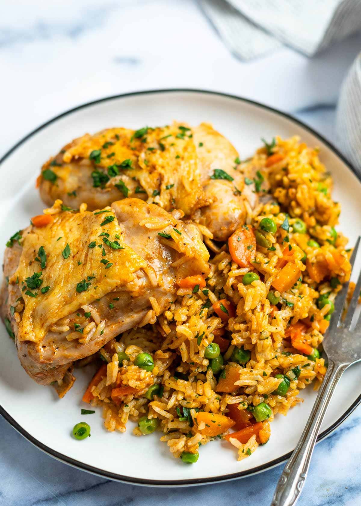 instant pot chicken and rice on a plate