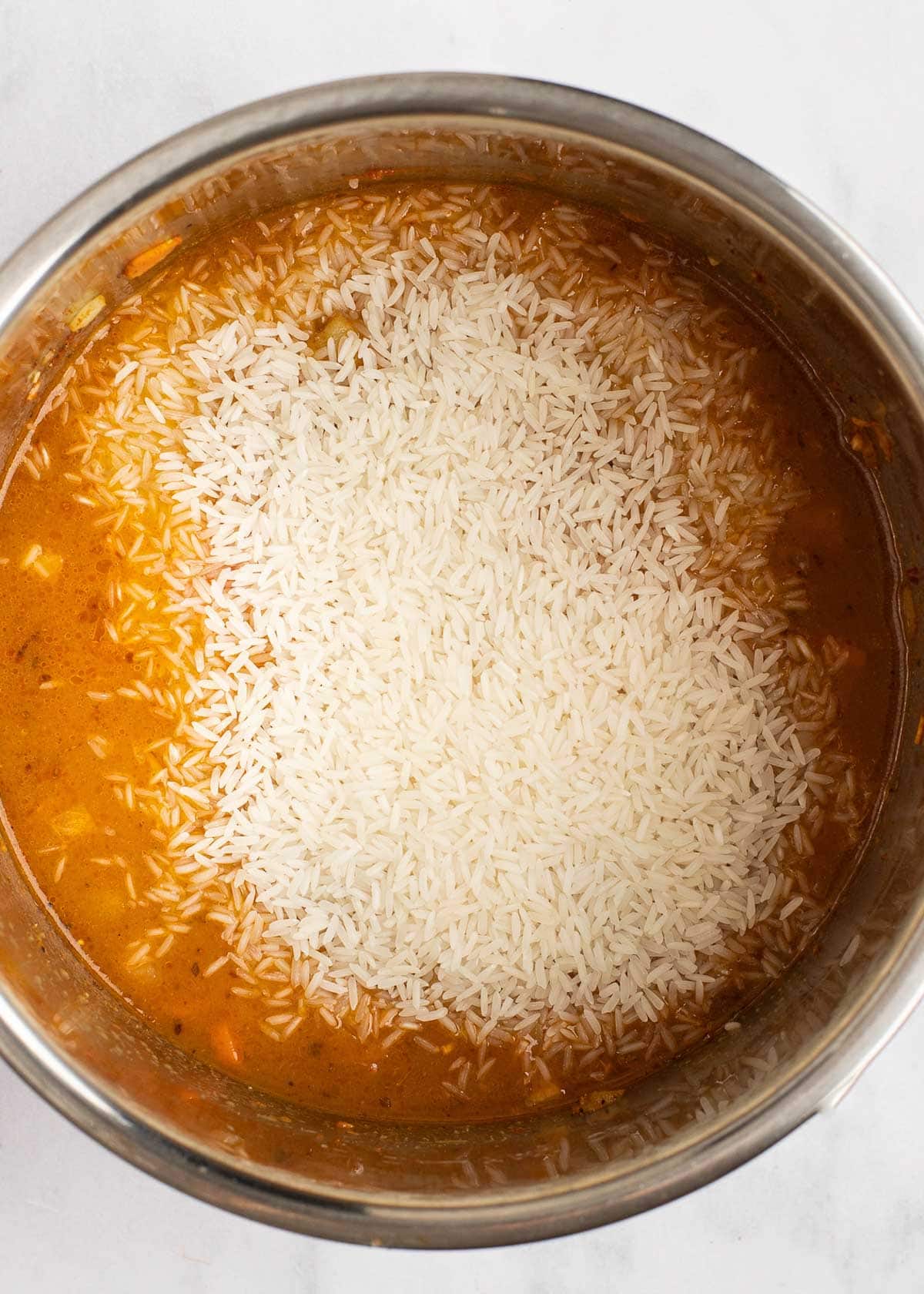 rice in instant pot