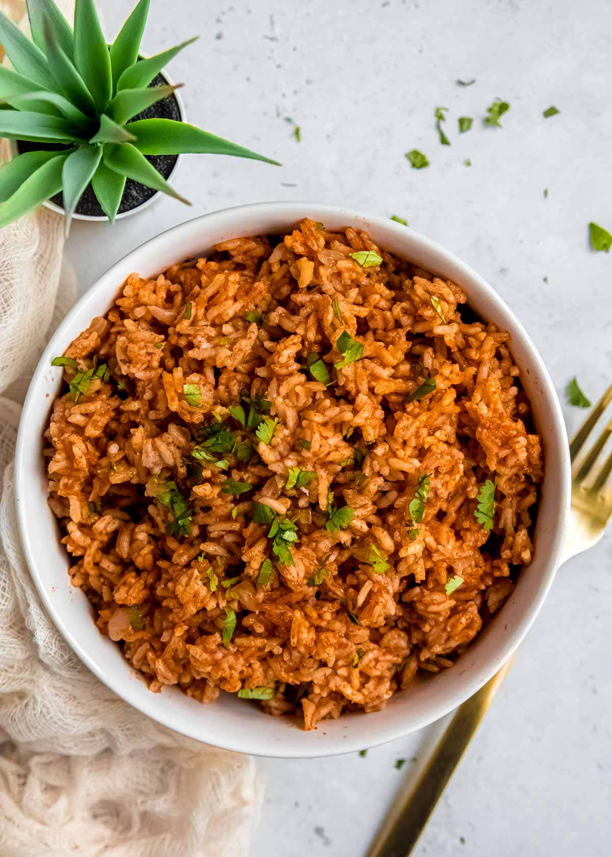 mexican rice in bowl with fork