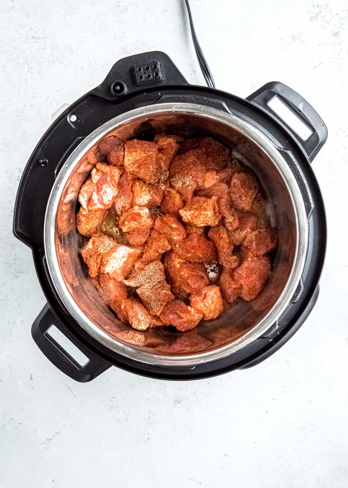 seasoned pork in the instant pot