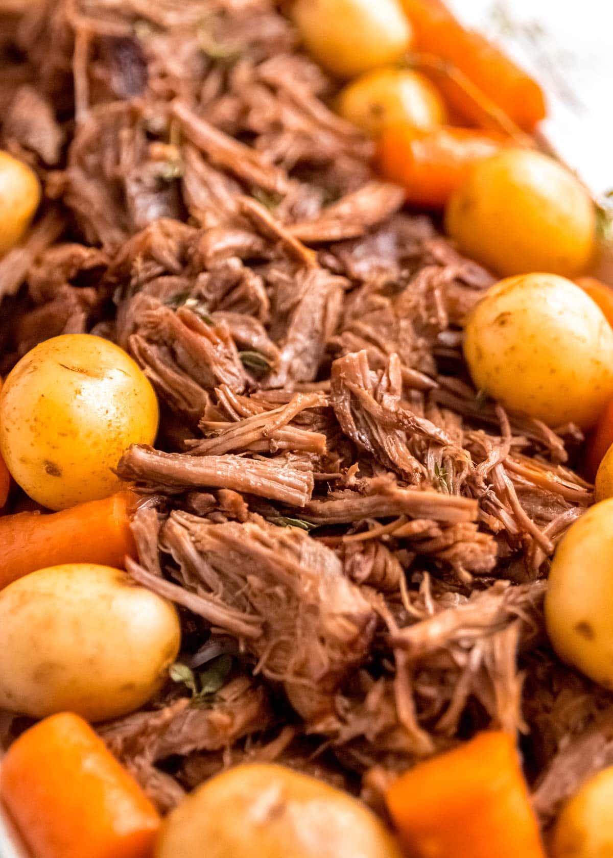 roast in instant pot on plate