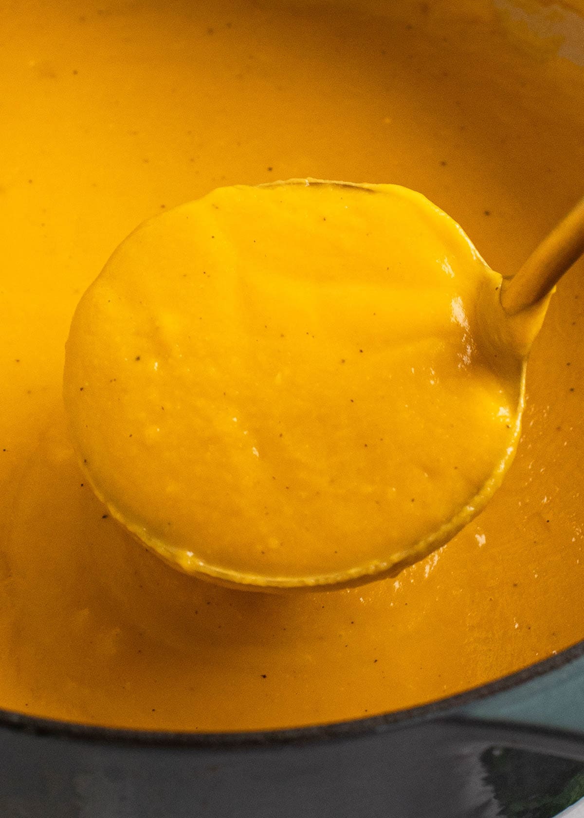 butternut squash soup in ladle. 