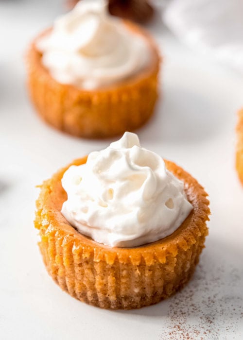 Mini Pumpkin Cheesecake Recipe - Maebells