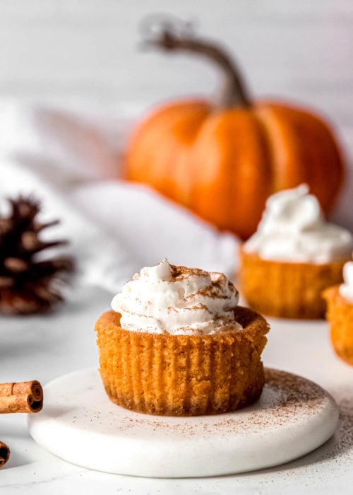 Mini Pumpkin Cheesecake Recipe Maebells   Mini Pumpkin Cheesecake Recipe 9 500x700 