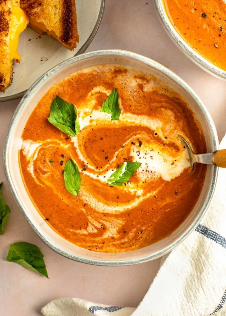 Easy Roasted Tomato Soup Recipe + VIDEO - The Recipe Rebel