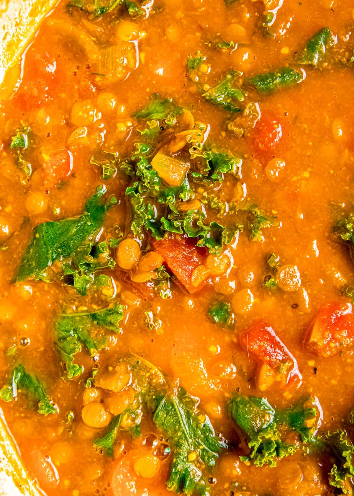 close up shot of lentil soup