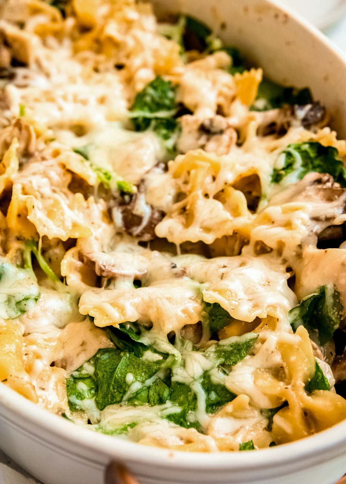 closeup photo of melty cheese atop baked chicken and mushroom pasta