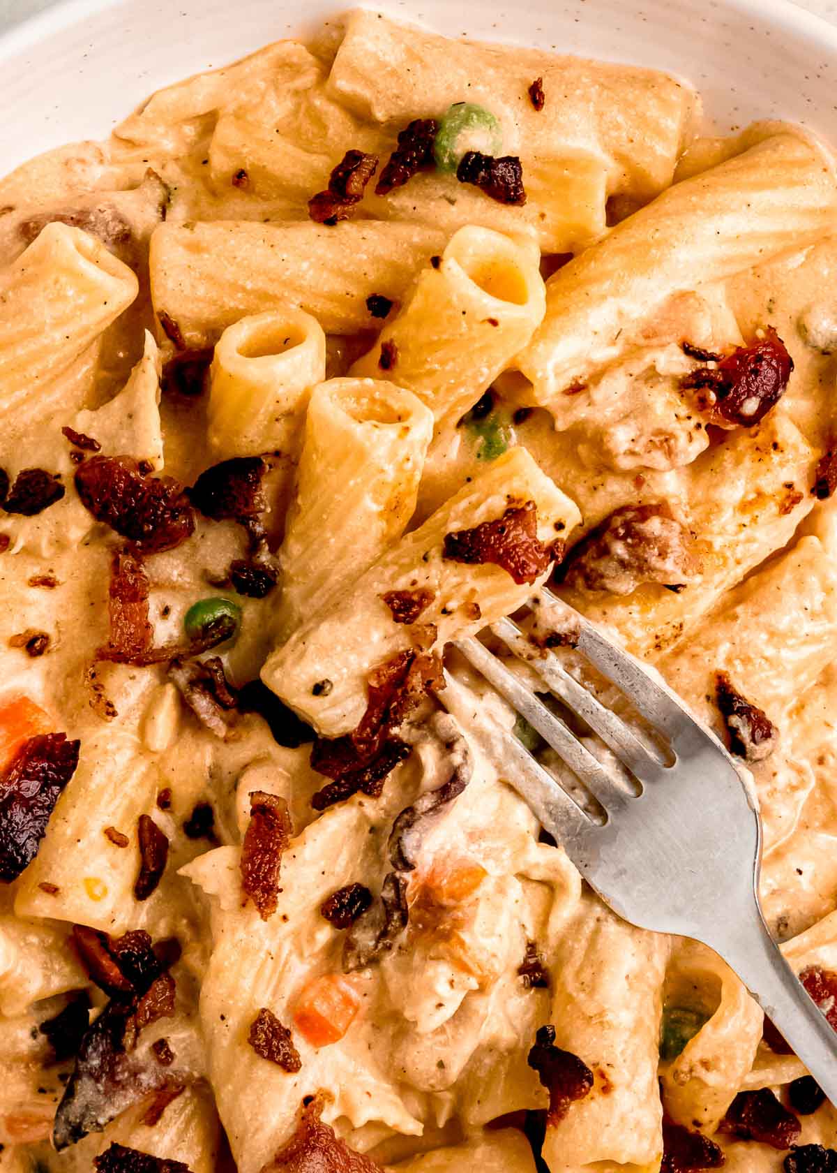 closeup view of fork gathering a bite full of cheesy chicken bacon ranch pasta