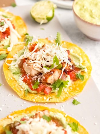 close up image of a grilled chicken taco on white background