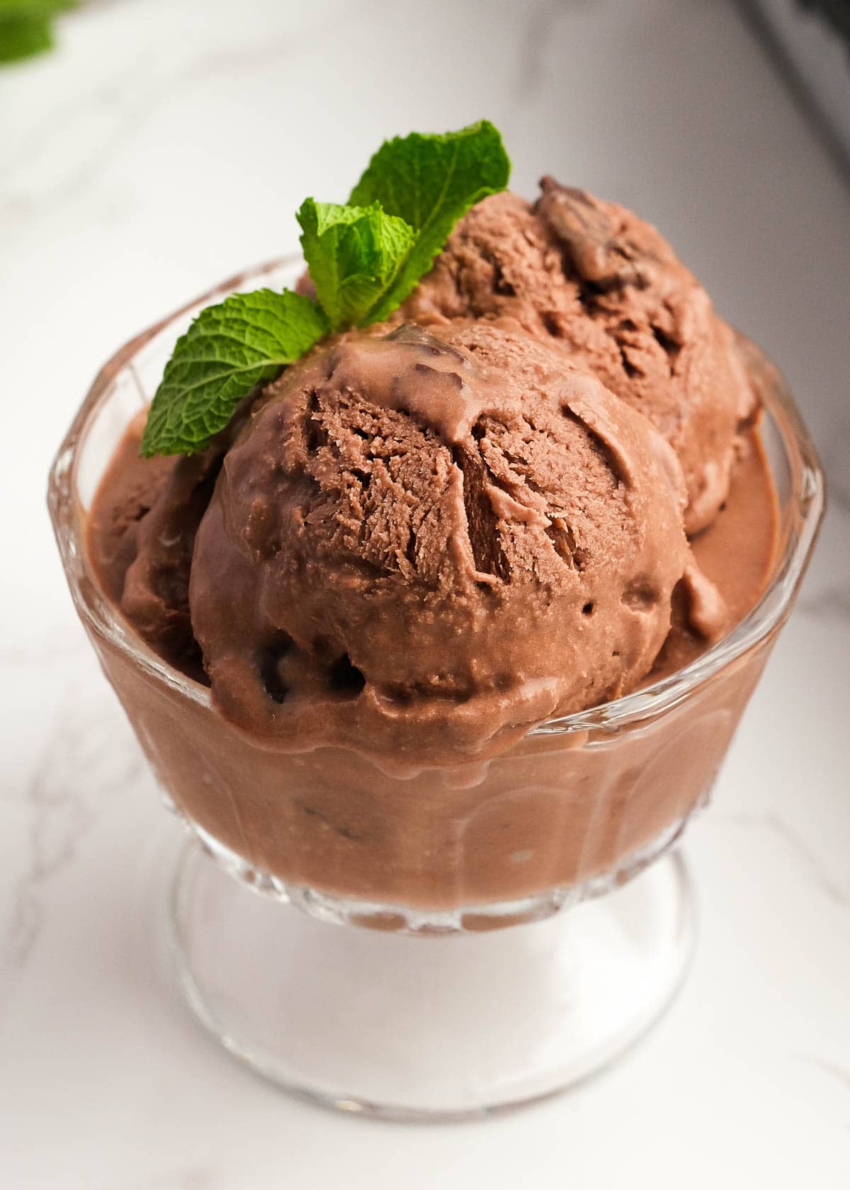 A glass bowl filled with creamy chocolate mint ice cream, garnished with mint leaves