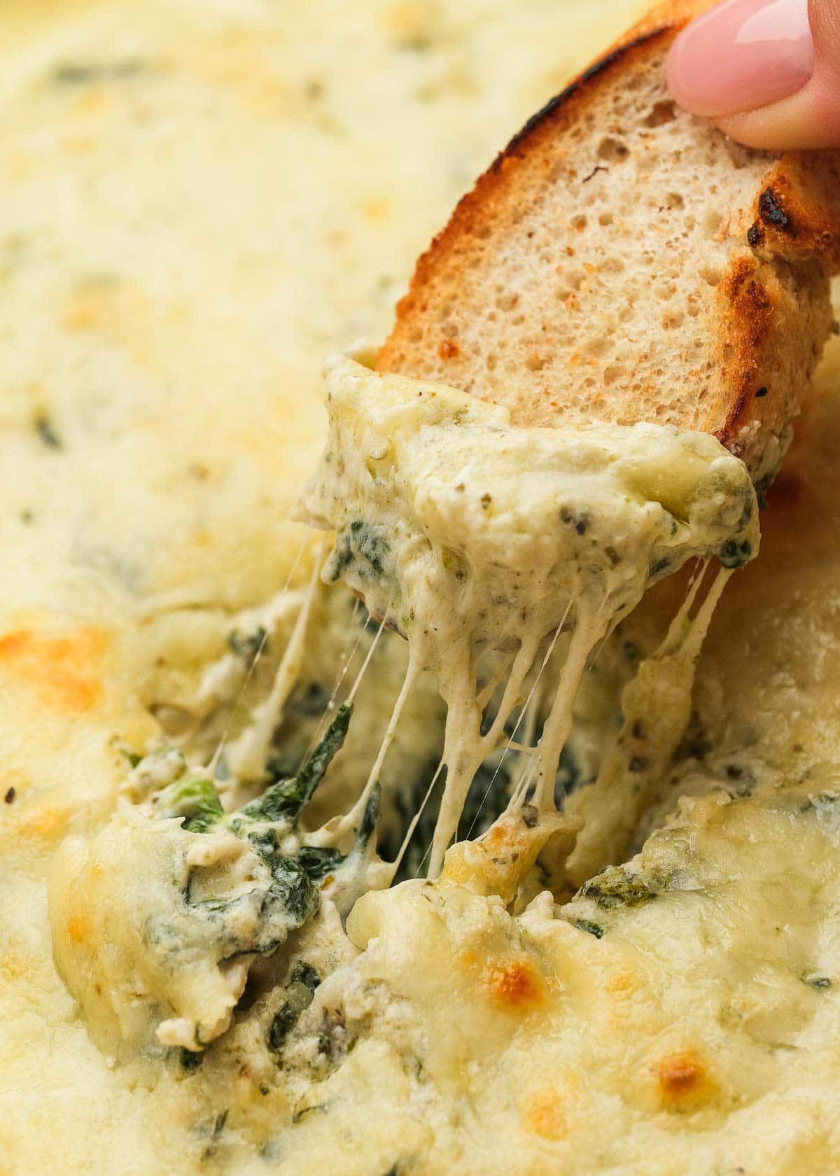 upclose show showing the melty cheese in the pesto chicken dip on a toasted baguette