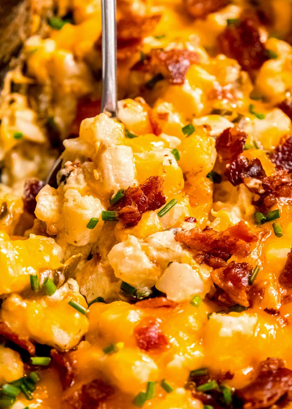 a closeup shot of cheesy potatoes with bacon and green onions in a slow cooker