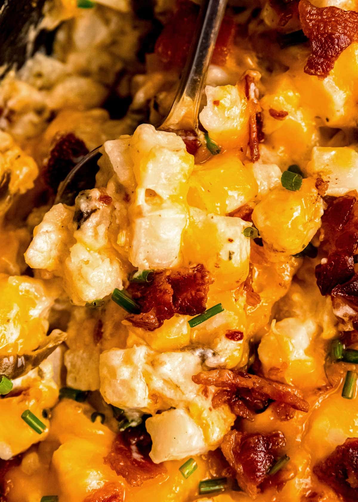 close up of cooked cheesy potatoes with ranch seasoning and bacon