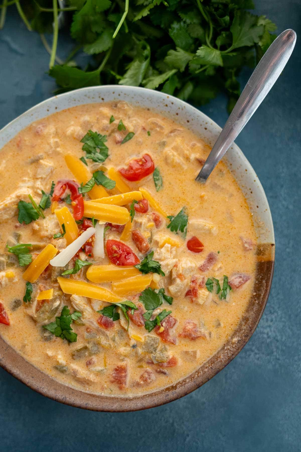 a bowl of cheesy chicken enchilada soup